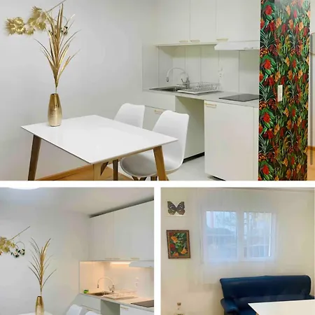 25m2 With Kitchen In Zurich