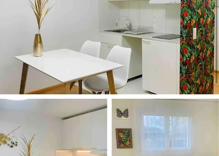 25m2 With Kitchen In Zürich